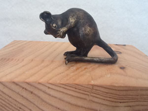 Woodmouse Washing