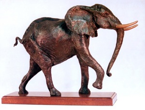 Young Bull Elephant