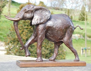 Young Bull Elephant