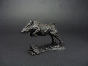 Wild Boar