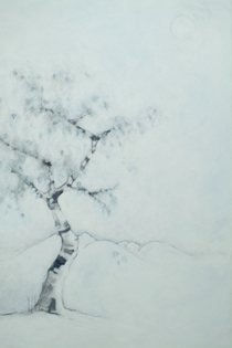 Silver Mountain