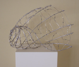 Wire Shell
