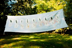 Pashmina 030
