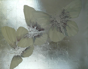Sara Habgood - Butterflies