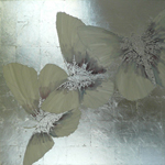Sara Habgood